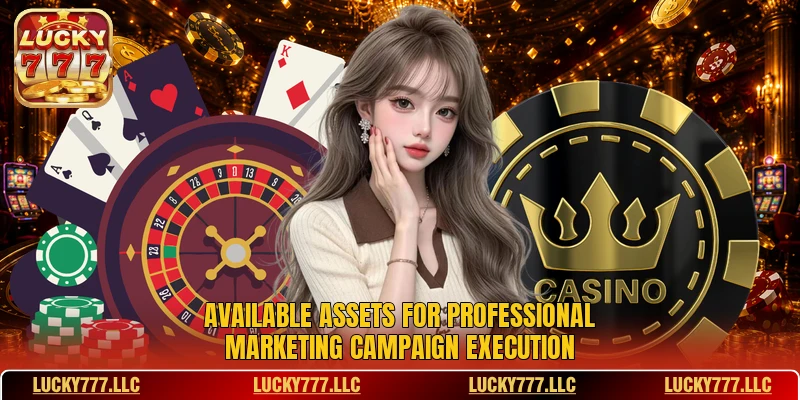 Available assets for professional marketing campaign execution Available assets for professional marketing campaign execution